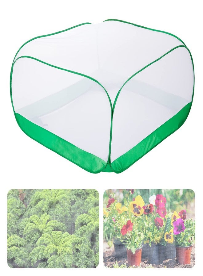 MADHOLLY Upgraded Garden Netting - 3.3 × 3.3 × 1.65 FT Plant Covers Net for Square Raised Garden Bed, Ultra Fine Garden Mesh Netting Protection from Bird Pest Barrier Net Row Cover for Plant Fruit Vegetable - Image 1